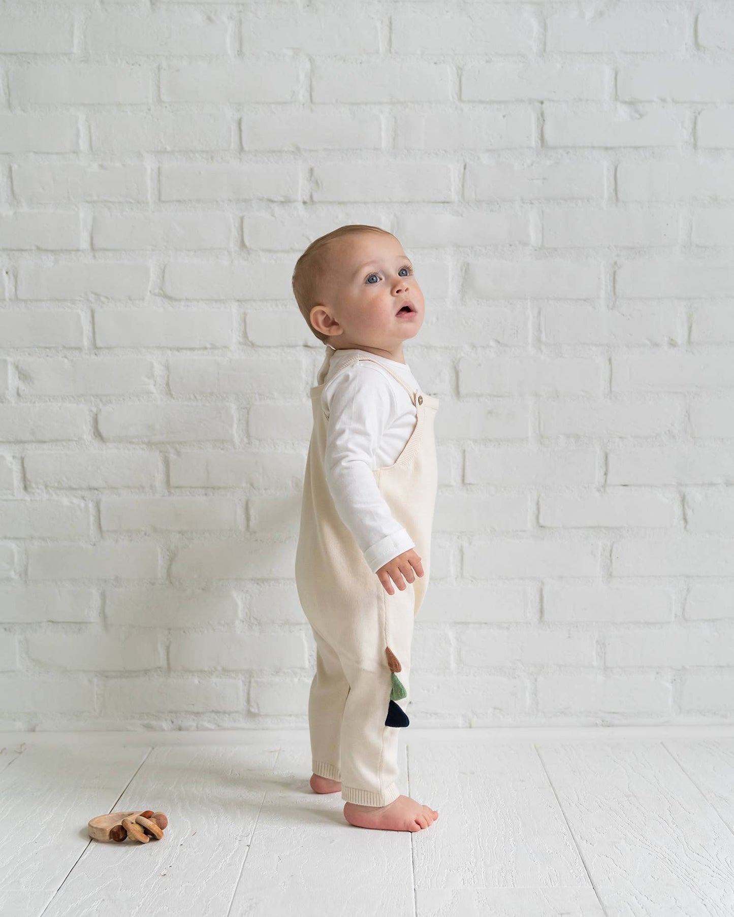 Dino Jacquard Knit Baby Overall Set (Organic Cotton)