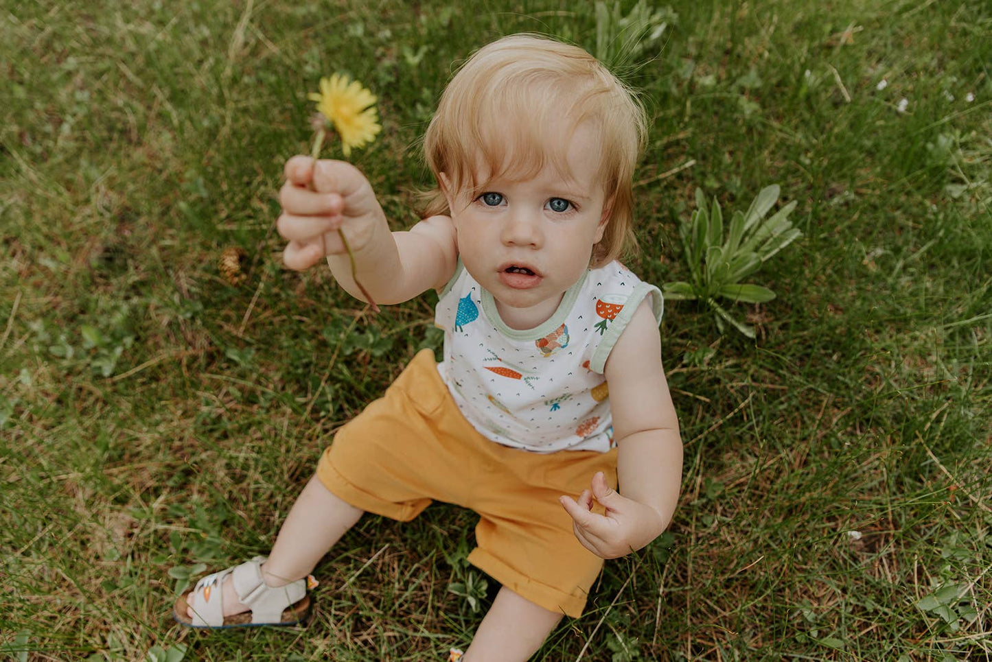 Veggie Baby Playsuit Tee + Shorts Set (Organic Cotton)