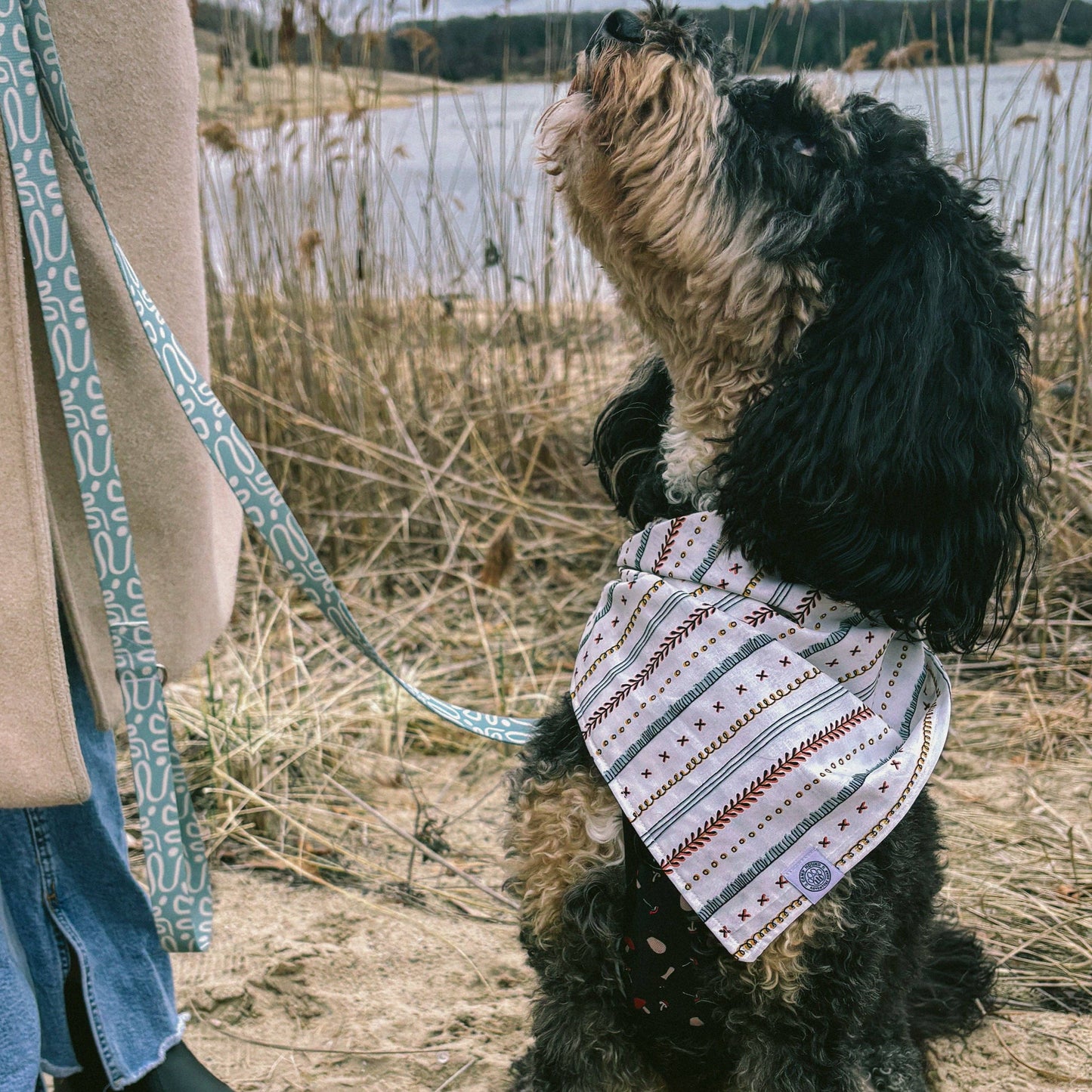 Arlo Dog Bandana | Bohemian Outdoor Cotton Pet Accessory