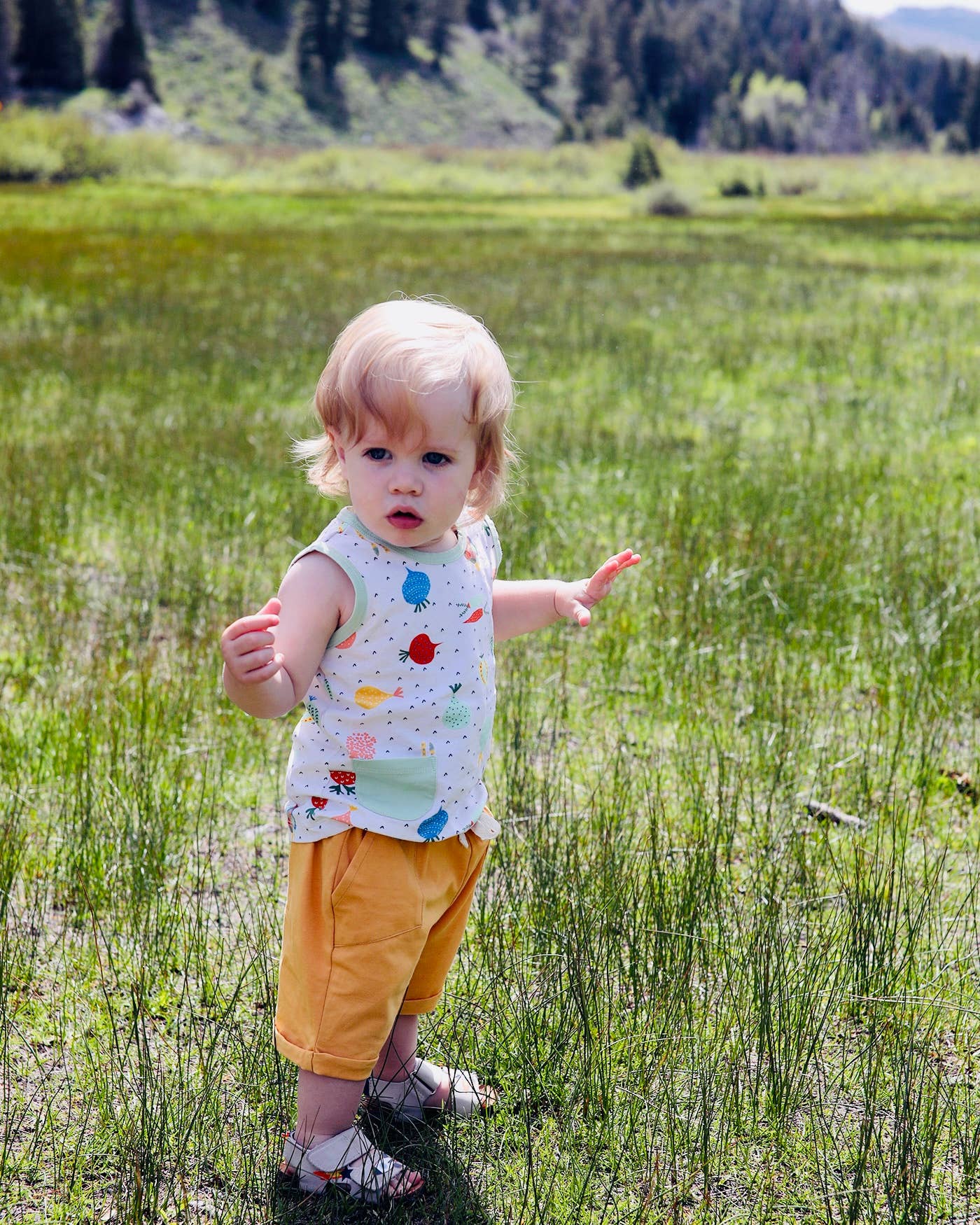 Veggie Baby Playsuit Tee + Shorts Set (Organic Cotton)
