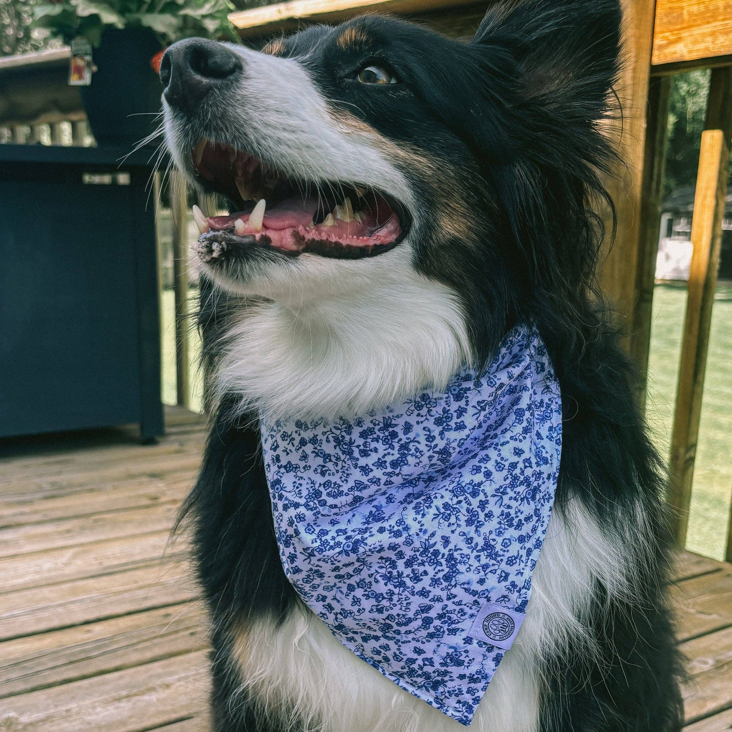 Annie Dog Bandana | Blue Floral Coastal Girl Pet Scarf