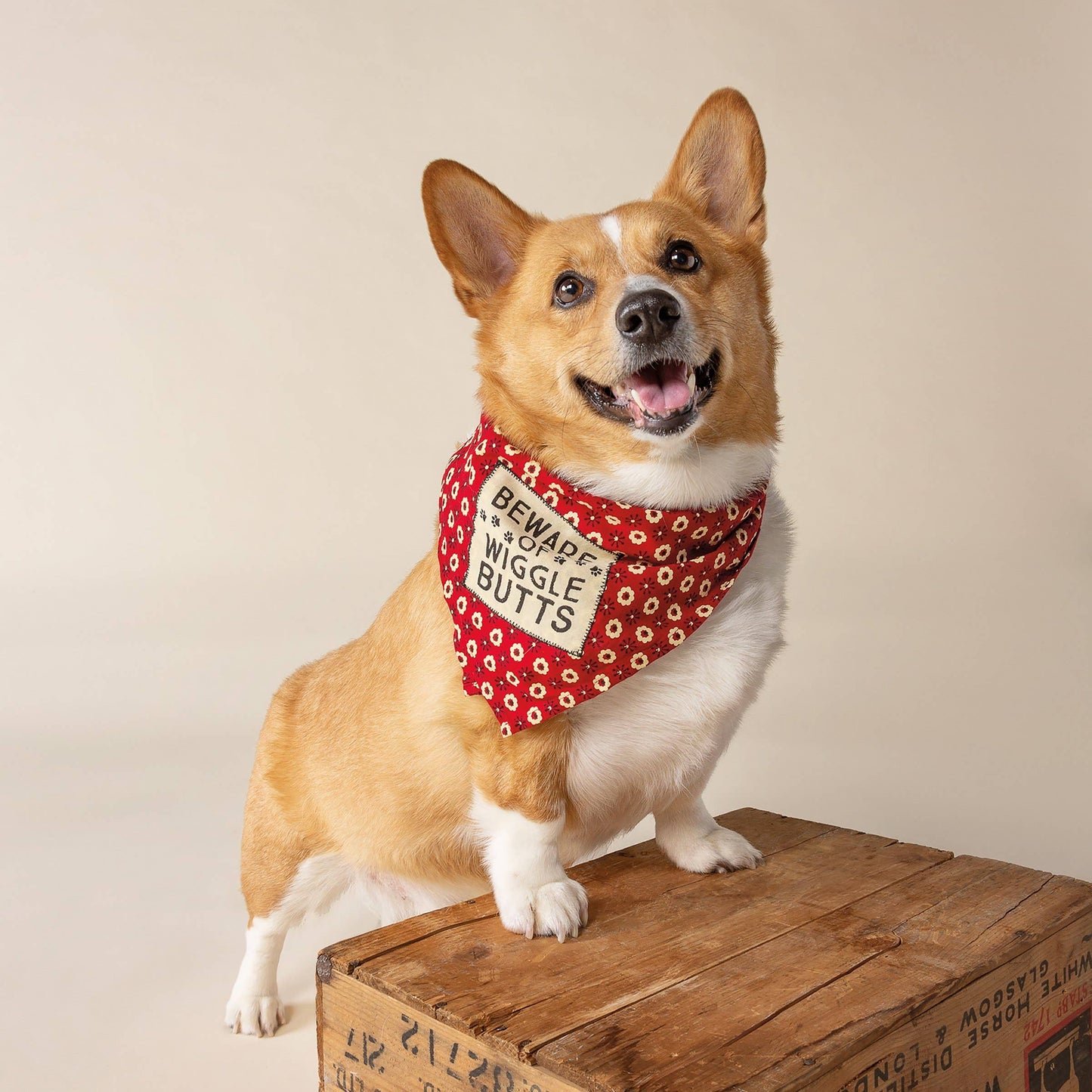 Beware Of Wigglebutts Small Pet Bandana
