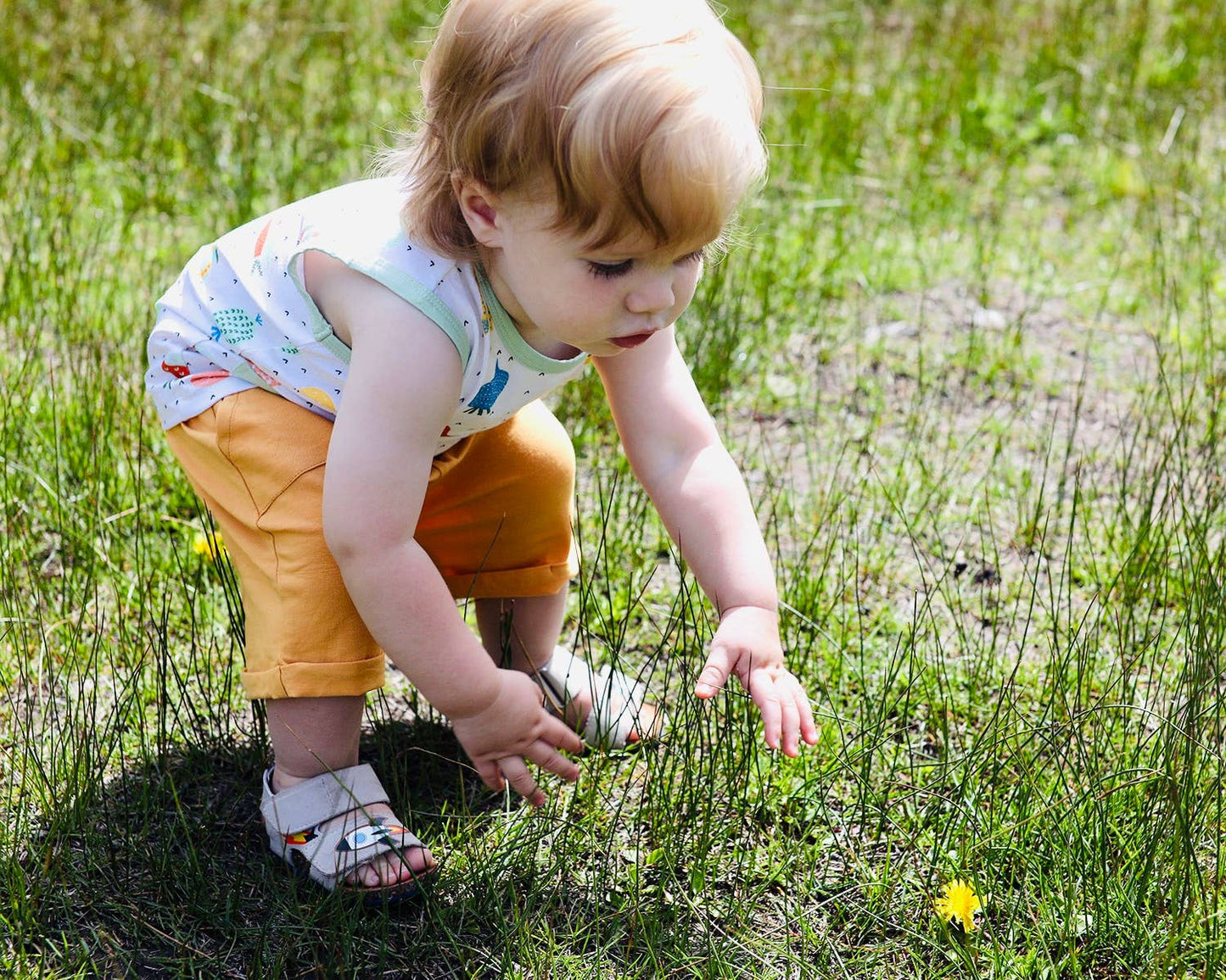 Veggie Baby Playsuit Tee + Shorts Set (Organic Cotton)