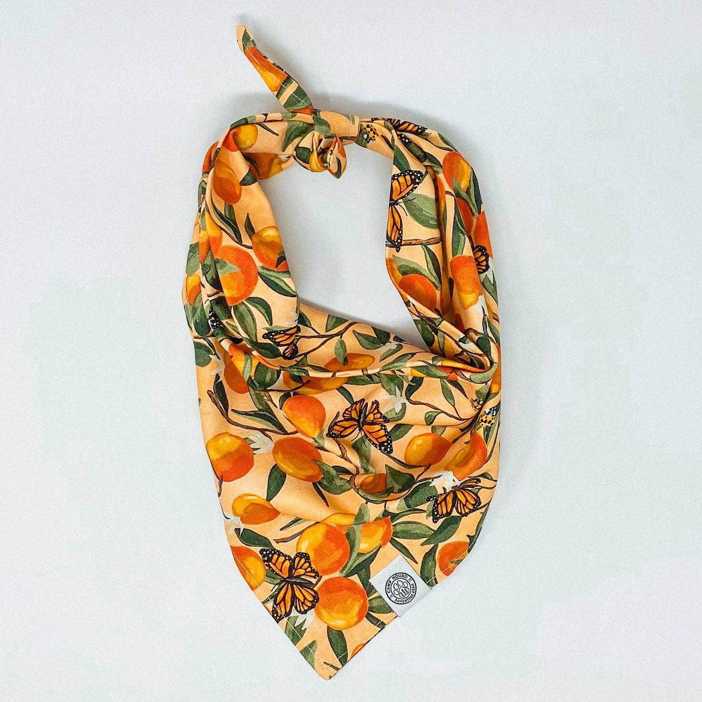 Clem Dog Bandana | Spring Orange Butterfly Watercolor Scarf