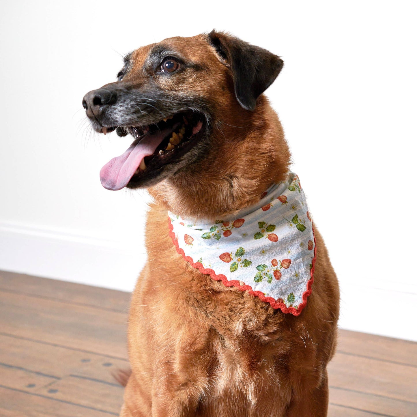 Strawberry Large Pet Bandana