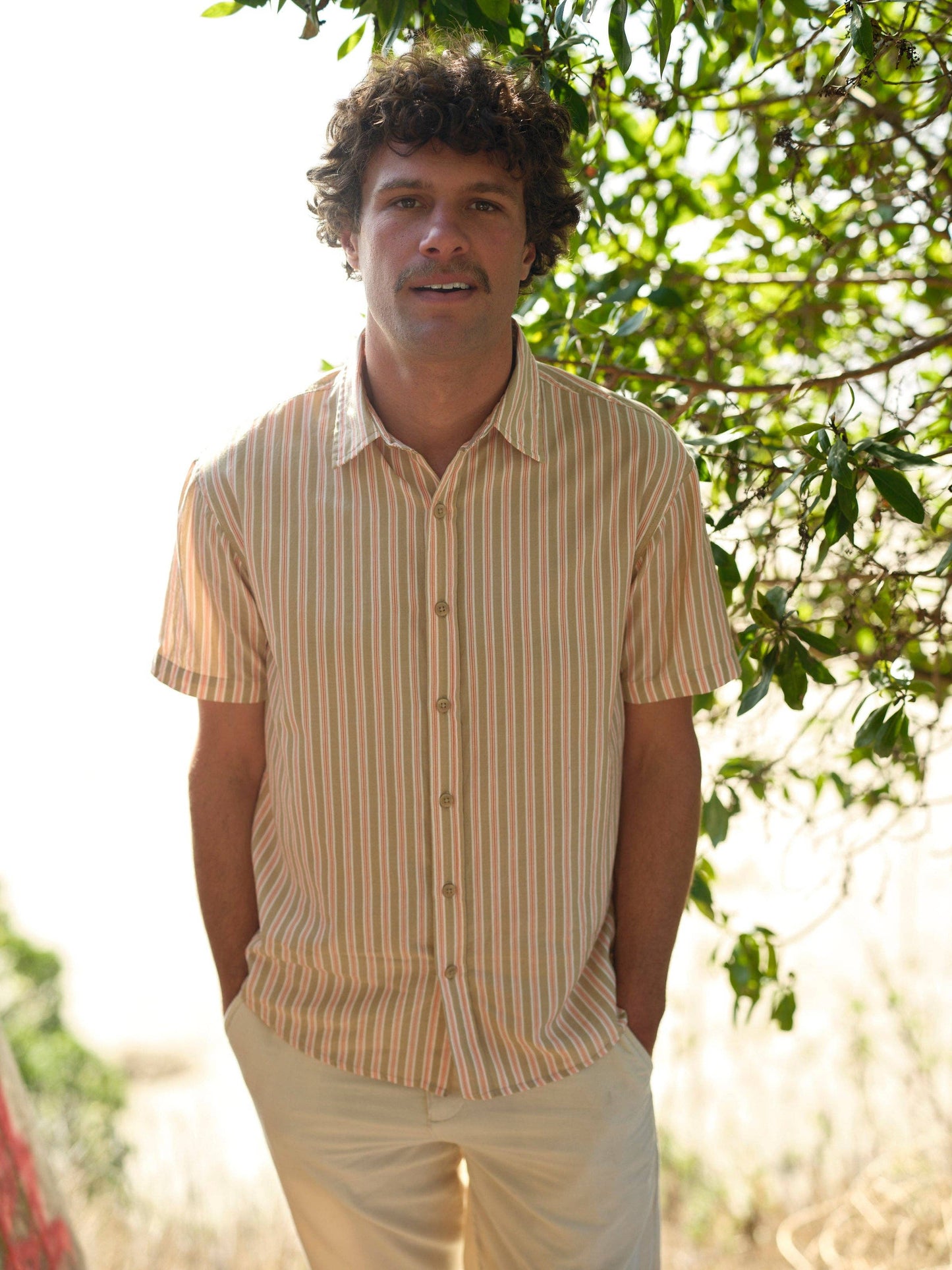 Summer Shirt