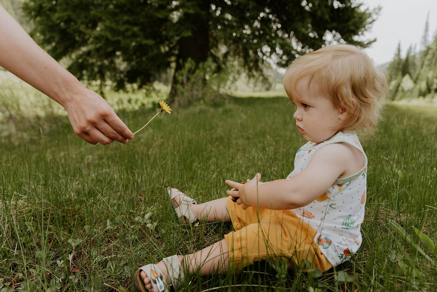 Veggie Baby Playsuit Tee + Shorts Set (Organic Cotton)