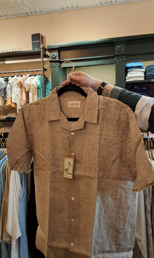 The Lewis Essentials